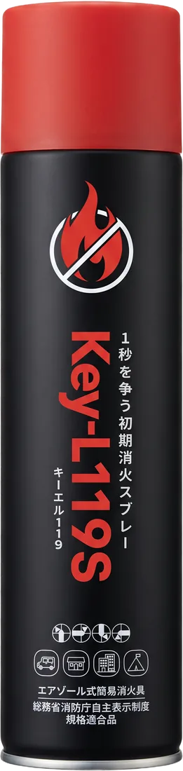 Key-L119S 本体
